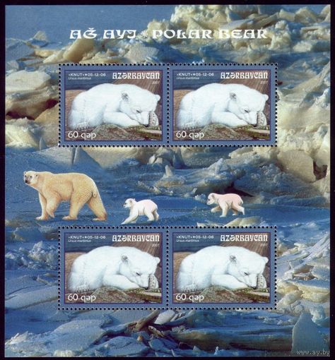Блок 2007 год Азербайджан Белый медведь 73