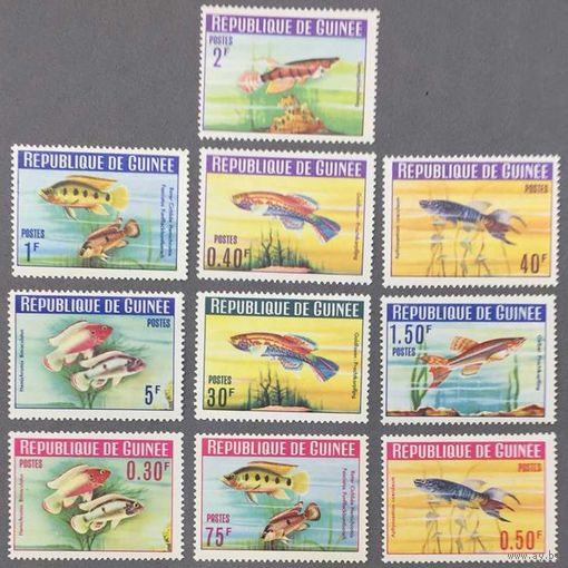 Гвинея 1964г Рыбы