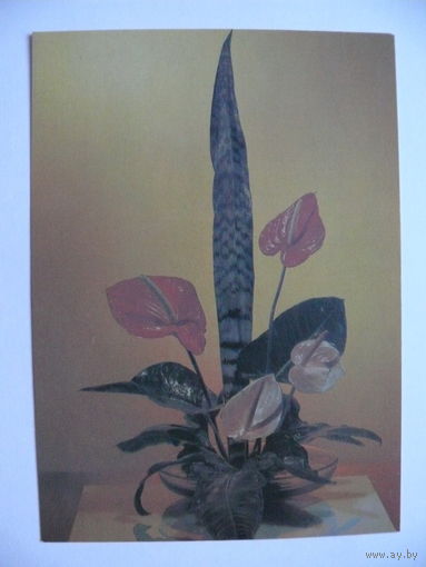 Левянт Ю.(фото), Композиция из цветов, 1986, чистая.
