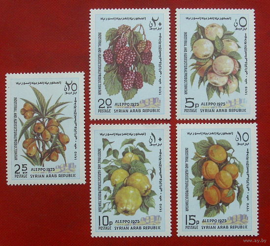 Сирия. Флора. Фрукты. ( 5 марок ) 1975 года. 7-3.