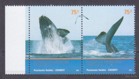 2002 Аргентина 2766-2767Paar Морская фауна - Киты 2,00 евро