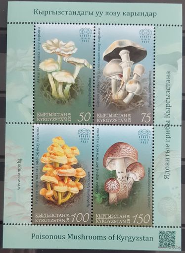 2019 Флора - ядовитые грибы Кыргызстана - Кыргызстан