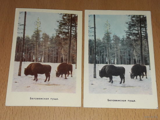 Календарики 1970, 1971 Беловежская пуща. Фауна. Зубры. 2 разнокраса одним лотом