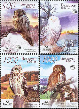 Совы Беларусь 2007 год (698-701) серия из 4-х марок