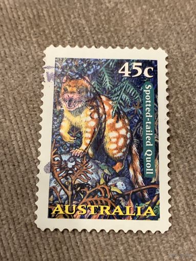 Австралия 1997. Spotted-tailed Quoll. Марка из серии