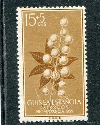 Испанская Гвинея. Флора. Цветы