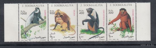 Обезьяны Животные Фауна 1994 Сомали MNH полная серия 4 м зуб