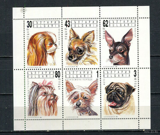 Болгария - 1991 - Собаки - [Mi. 3929-3934] - полная серия - малый лист. MNH.  (Лот 98ER)-T7P30
