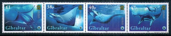 Скаты Гибралтар 2006 год серия из 4-х марок в сцепке (М)