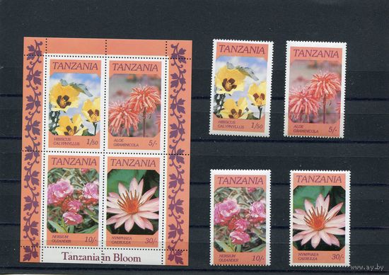 Танзания. Цветы