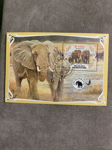 Габон 2019. Слоны. Блок